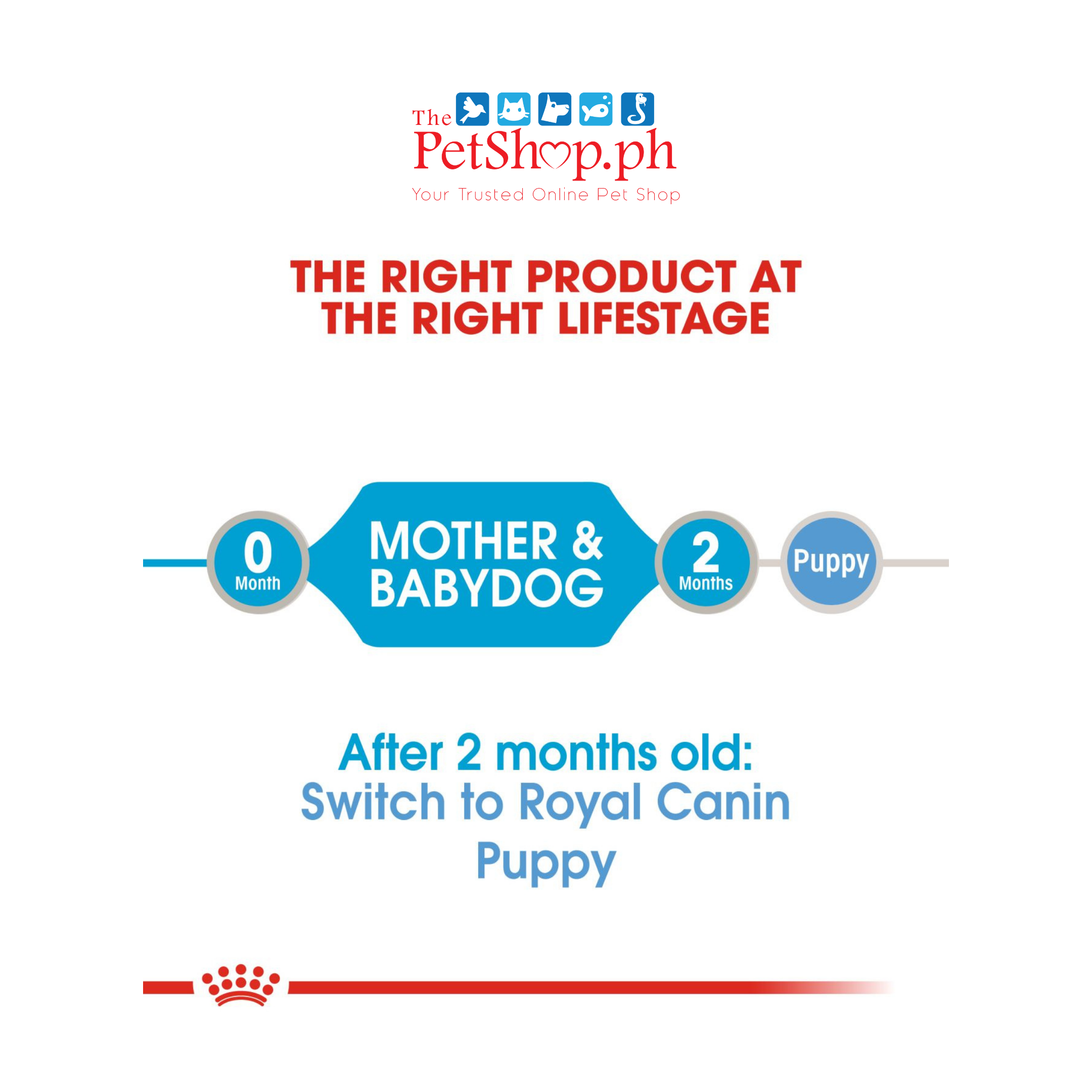 Royal Canin Mother & Babydog 195g Starter Mousse Wet Dog Food - Canine Health Nutrition