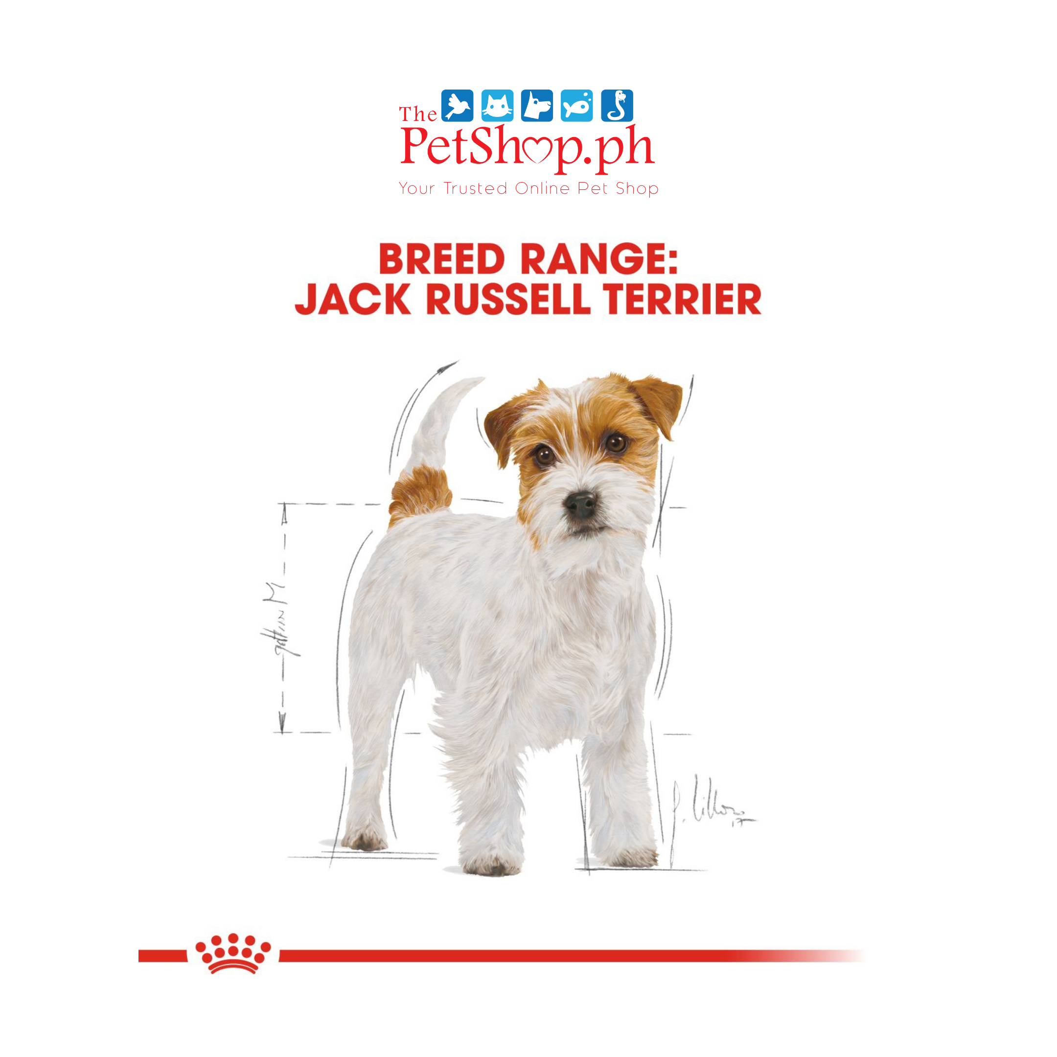Royal Canin Jack Russell Terrier Adult 500g - Dry Dog Food Breed Health Nutrition